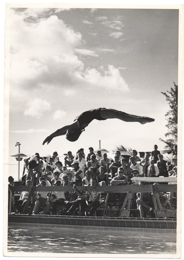 Woman diving from springboard