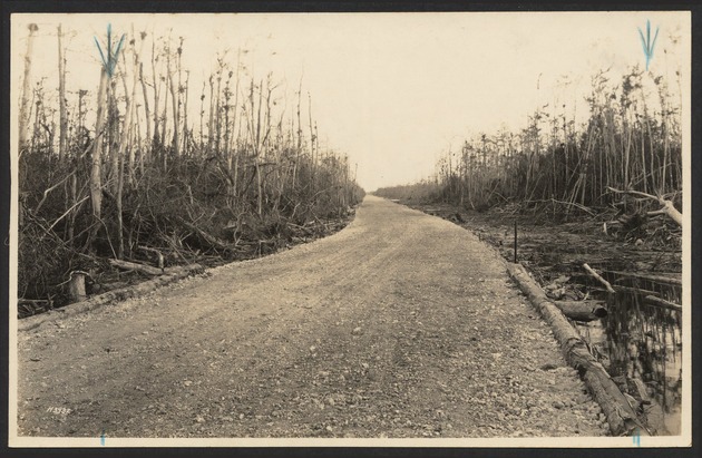 Tamiami Trail and Loop Road photographs, 1920s - Item 1. Looking south