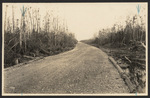 [1920/1929] Tamiami Trail and Loop Road photographs, 1920s