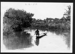 [1920/1923] Seminole Indians fishing and preparing food, 1920-1923