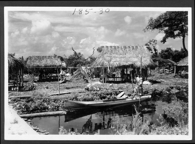 Seminole Indian villages, 1928-1929 - 1. Man poling a dugout canoe by a village, June 13, 1928. no. 185-30.