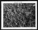 MISSING THUMBNAIL