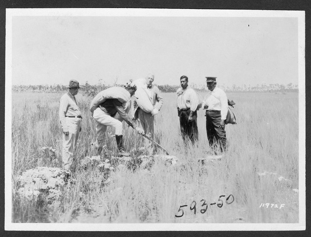 Royal Palm State Park towards Tamiami Trail, 1929 - 1. Group of hikers. Ernest Coe is probably the center man. no. 593-50.