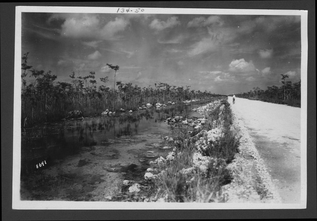 Tamiami Trail and environs west of Forty Mile Bend and east of Monroe Station, 1929 - 1. Tamiami Trail and canal. no. 134-50.