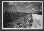 Tamiami Trail and environs west of Forty Mile Bend and east of Monroe Station, 1929