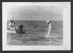 Photographs depicting fishing in the Everglades, 1929.