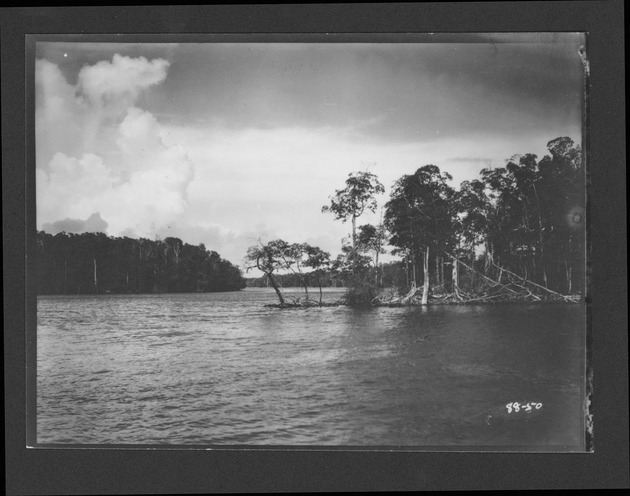 Photographs depicting Shark River and environs, 1929. - 1. Shark River, before 1928. no. 88-50.