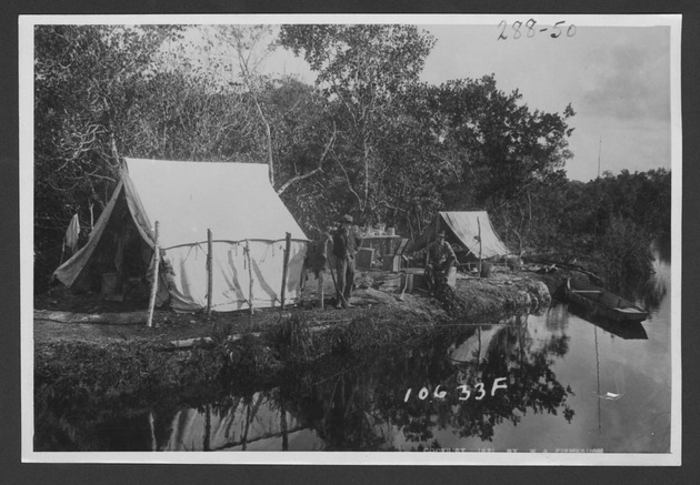 Photographs depicting camps and camping, 1921-1929. - 1. -- Tent camping in the Everglades, 1921. no. 288-50.