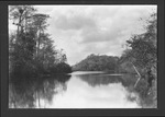 Photograph depicting Turner River, before 1928