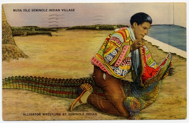 Alligator wrestling by Seminole Indian. - Front