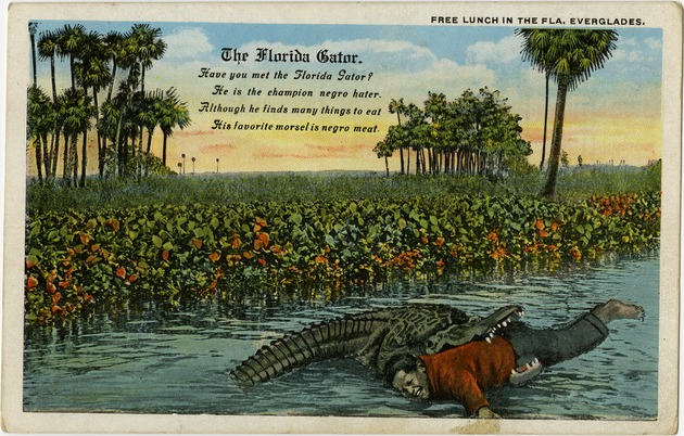 The Florida Gator - 