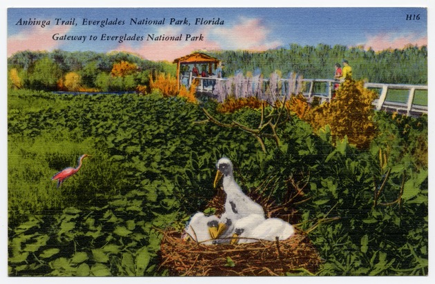 Anhinga Trail, Everglades National Park, Florida Gateway to Everglades National Park - Front