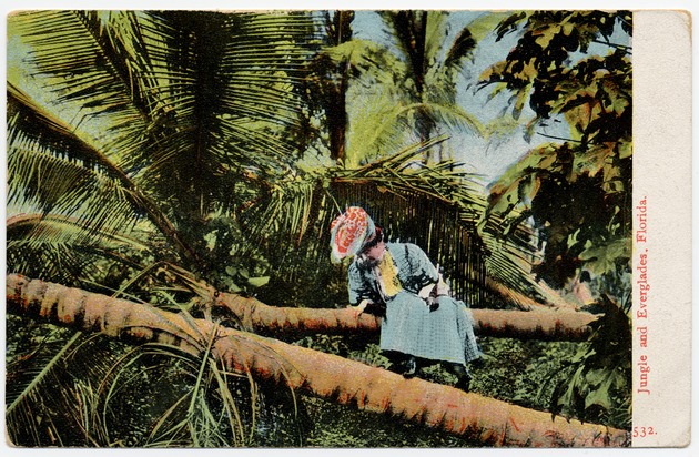 A lady sitting on the fallen tree in the jungle and Everglades - Front