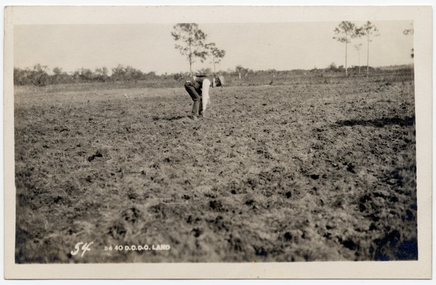 Early South Florida landscape - Front