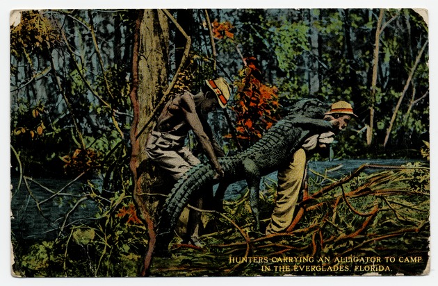 Hunters Carrying an Alligator to Camp in the Everglades, Florida - Front