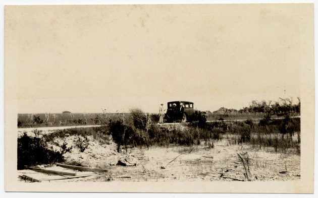 Early South Florida landscape: South of Royal Palm State Park, Everglades, Florida - Front