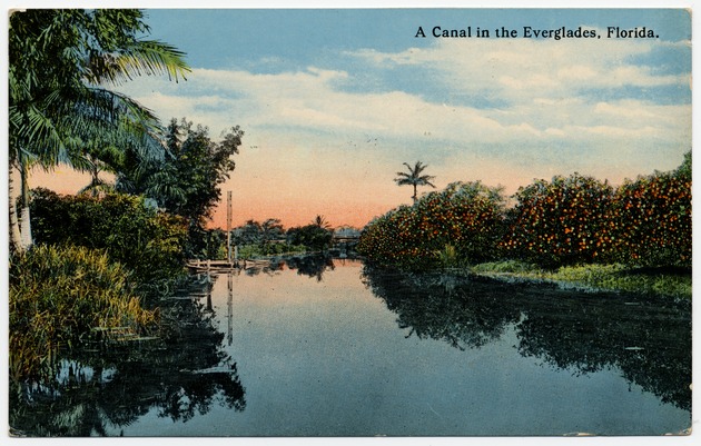 A  Canal in the Everglades, Florida - Front