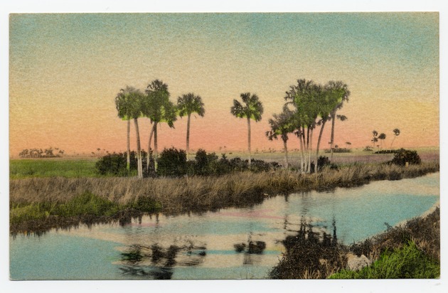 A Typical Scene in the Florida Everglades - Front