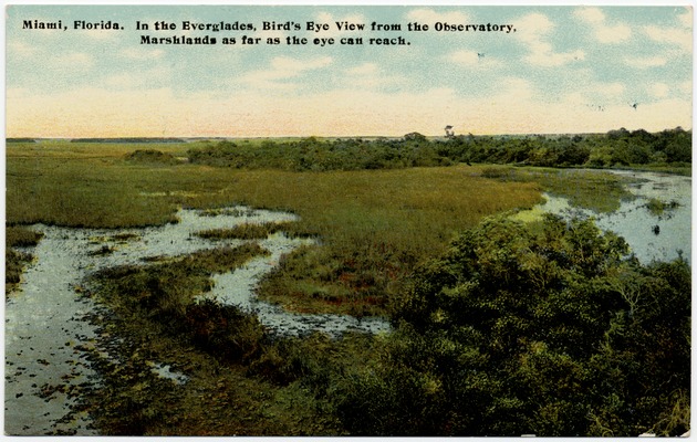 In the Everglades, bird's eye view from the observatory, marshlands as far as the eye can reach - Front