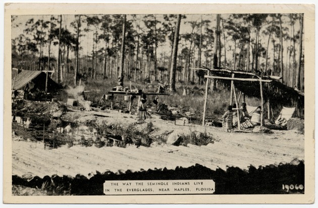 The way the Seminole Indians live in the Everglades, near Naples, Florida - Front