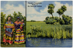 [1954] Florida's Everglades : home of the Seminole Indians