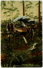 Seminole Indian, Hunting in the Everglades, Florida