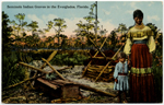 Seminole Indian Graves in the Everglades, Florida