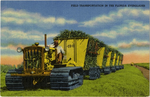 Field Transportation in the Florida Everglades - Front