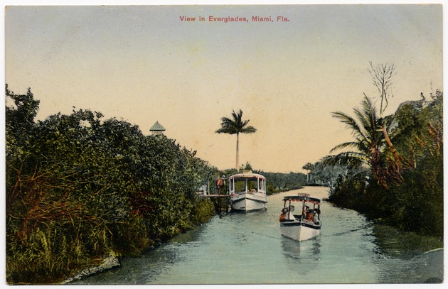View in Everglades, Miami, Fla - Front