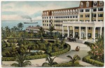 [1907] Royal Palm and grounds, Miami, Fla.