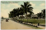 Glimpse of the boulevard, golf grounds and Hotel Royal Palm
