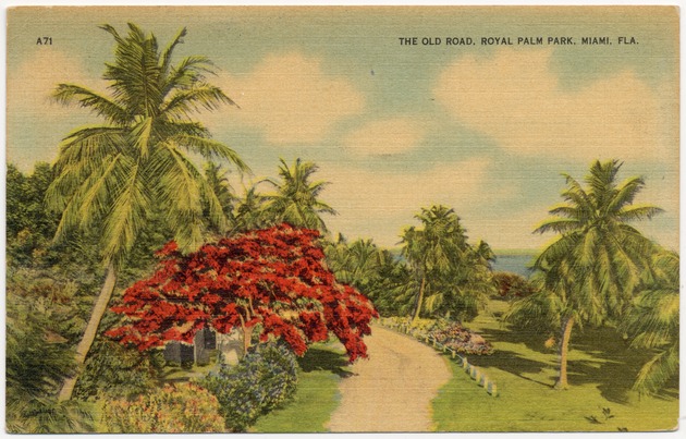 The old road at Royal Palm Park, Miami, Fla. - Front