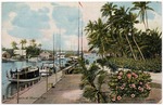 [1907] New dock at Miami, Fla.