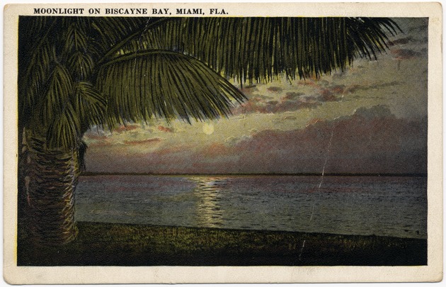 Moonlight on Biscayne Bay, Miami, Fla. - Front