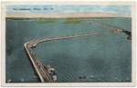 [1923] The Causeway, Miami, Fla.