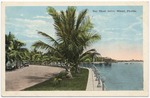 Bay Shore Drive, Miami, Florida
