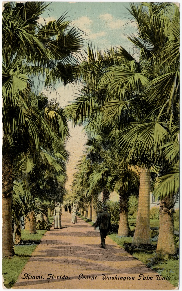 George Washington Palm Walk - Front