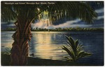 [1920/1929] Moonlight and palms' Biscayne Bay, Miami, Florida