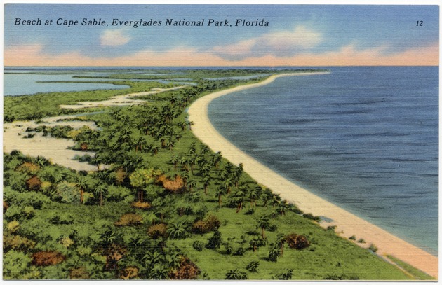 Beach at Cape Sable, Everglades National Park, Florida - Front
