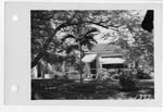 [1949] Indian Mound Trail, Coral Gables, Florida