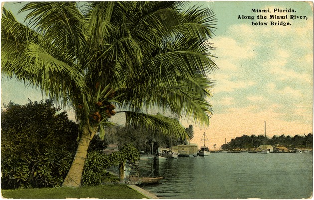 Along the Miami River, below Bridge - 