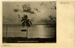 MISSING THUMBNAIL