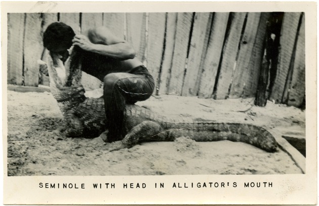 Two photographs of Seminole Indians - Seminole With Head In Alligator's Mouth