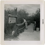 Anhinga trail in the Everglades
