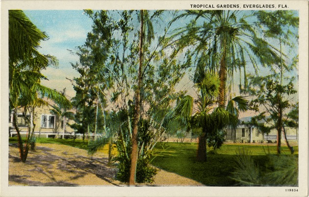 Tropical Gardens, Everglades, Fla. - Front