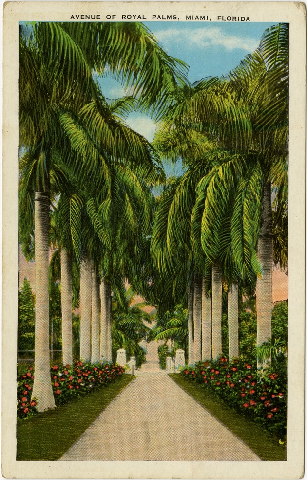 Avenue of Royal Palms, Miami Florida. - Front