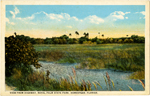 View from highway, Royal Palm State Park, Homestead, Florida