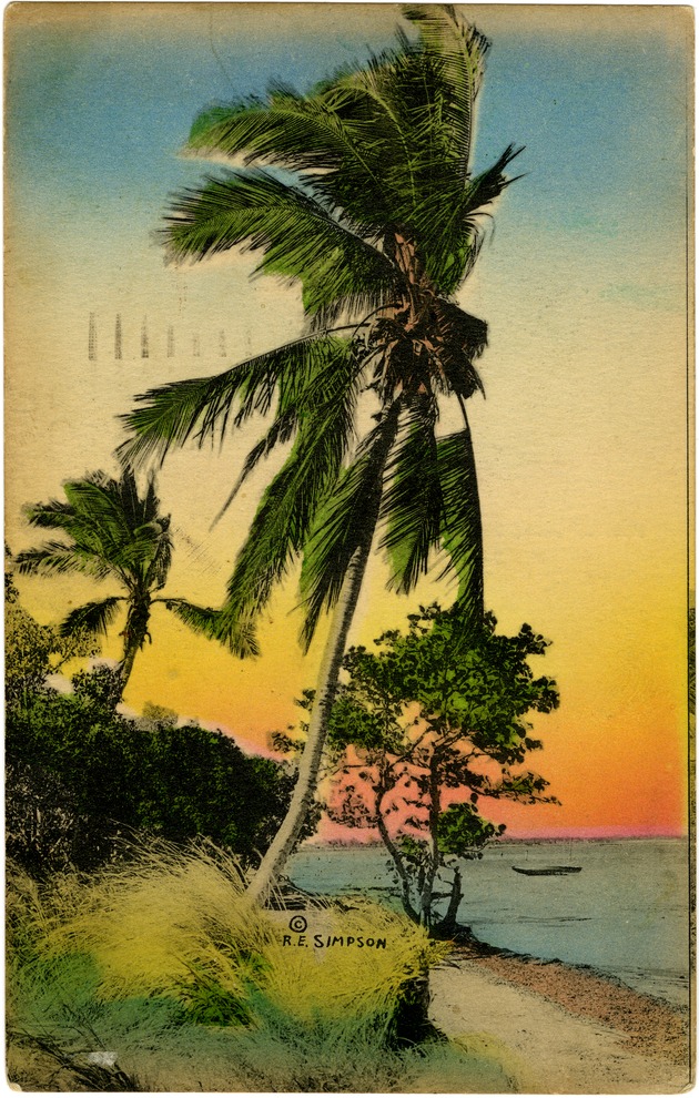 On the Shores of Biscayne Bay, south of Miami - Front