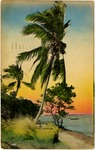 [1936] On the Shores of Biscayne Bay, south of Miami