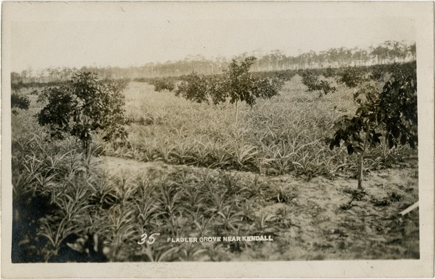 Flagler Grove near Kendall - Front